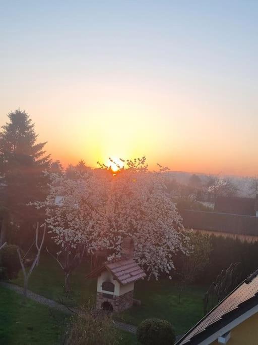 Ferienwohnung *Zur Weinbergstrasse* Lauta Εξωτερικό φωτογραφία