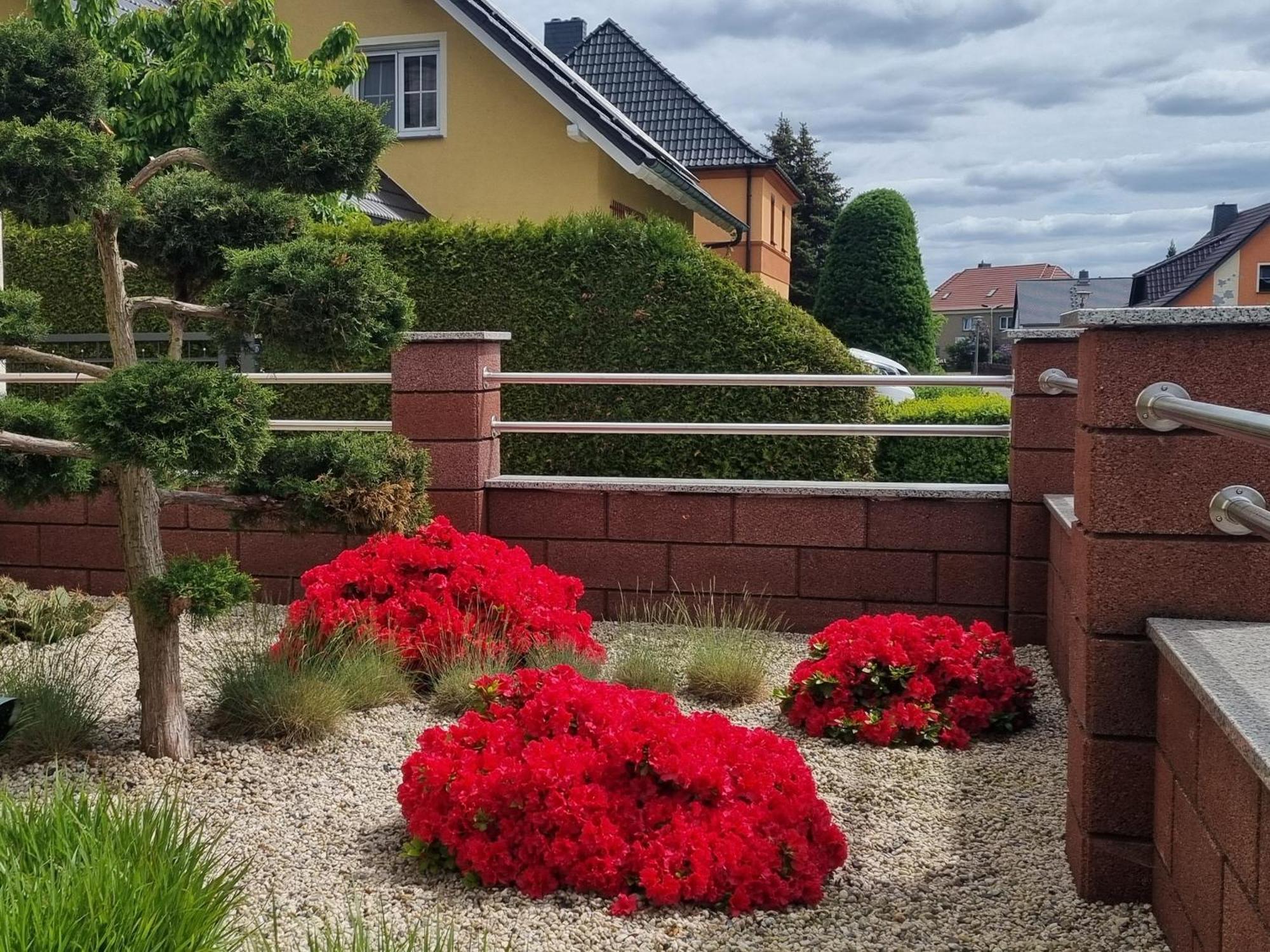 Ferienwohnung *Zur Weinbergstrasse* Lauta Εξωτερικό φωτογραφία
